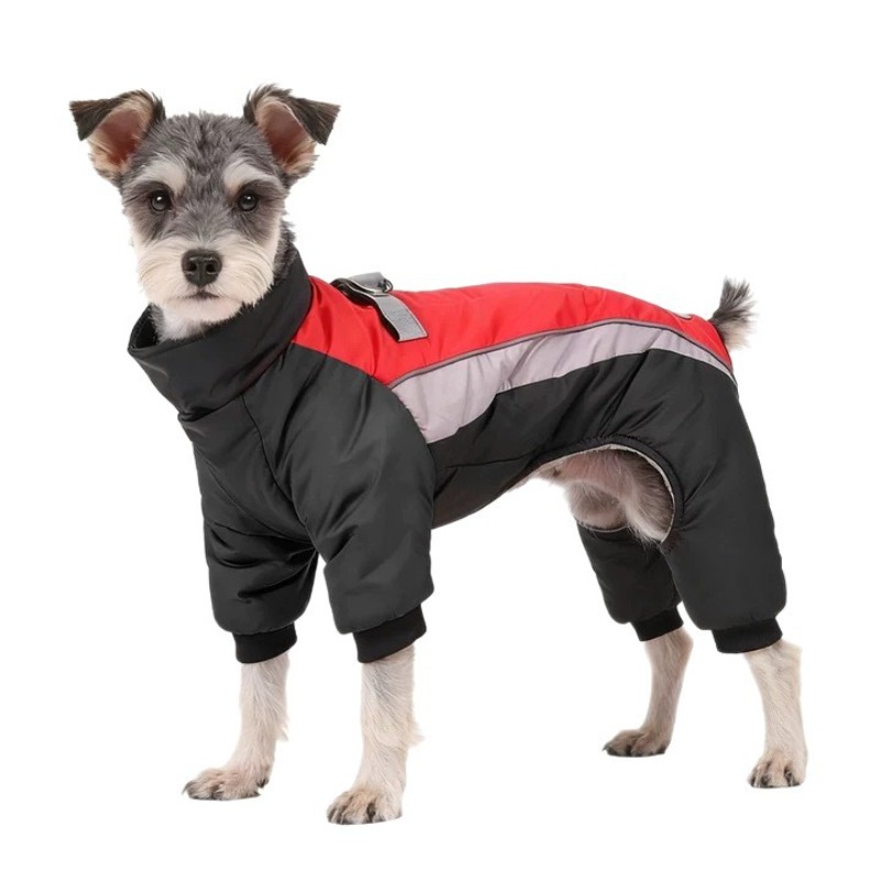 Winter Clothing Leg Warmers - Automne et hiver velours chien plus
