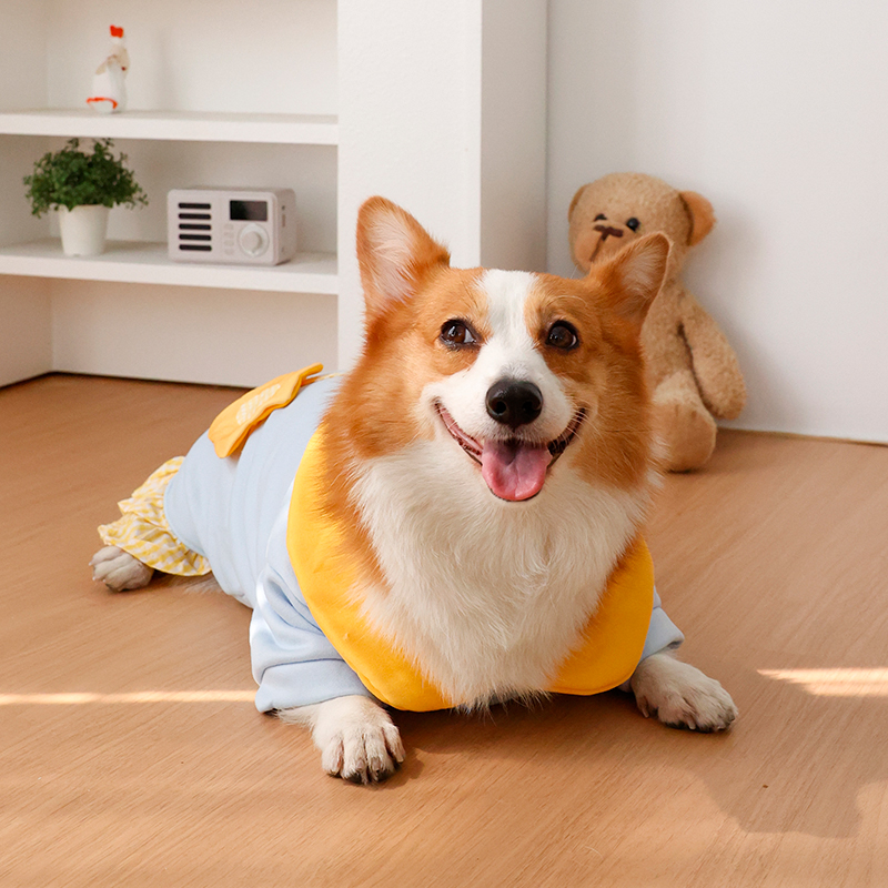 Vêtements pour chiens - Réchau - Winter Clothing Leg Warmers avis et prix