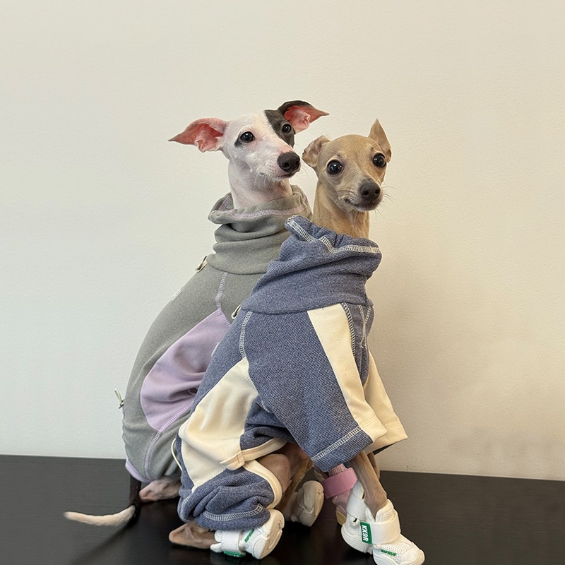 Vêtements pour chiens pour aut - Winter Clothing Leg Warmers avis et prix