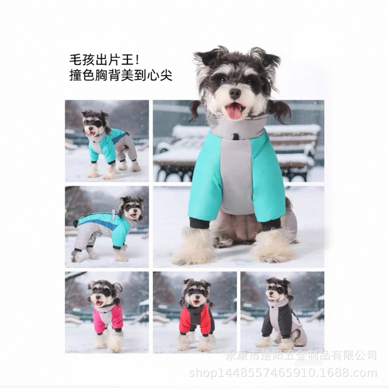 Automne et hiver velours chien - Winter Clothing Leg Warmers avis et prix