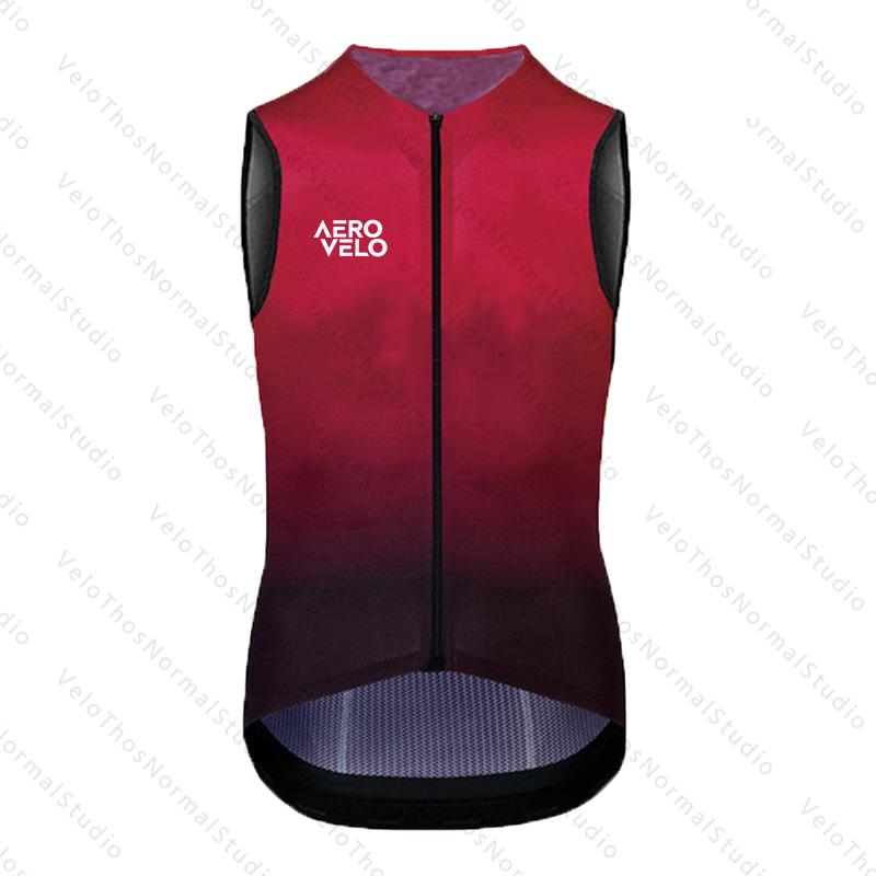Gilet de cyclisme AERO 2026 co - Padded Vest Gilet avis et prix