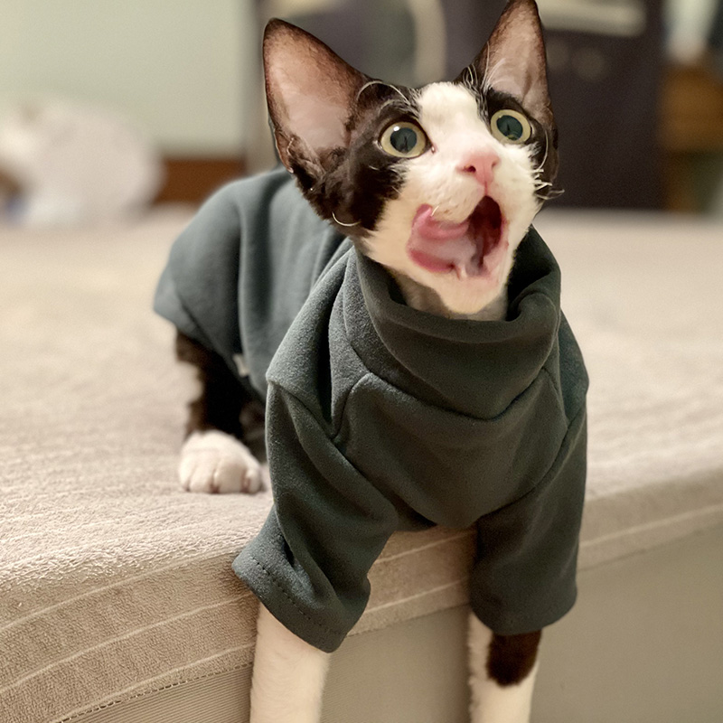 Sphynx chat vêtements bébé cot - Winter Clothing For Toddlers avis et prix